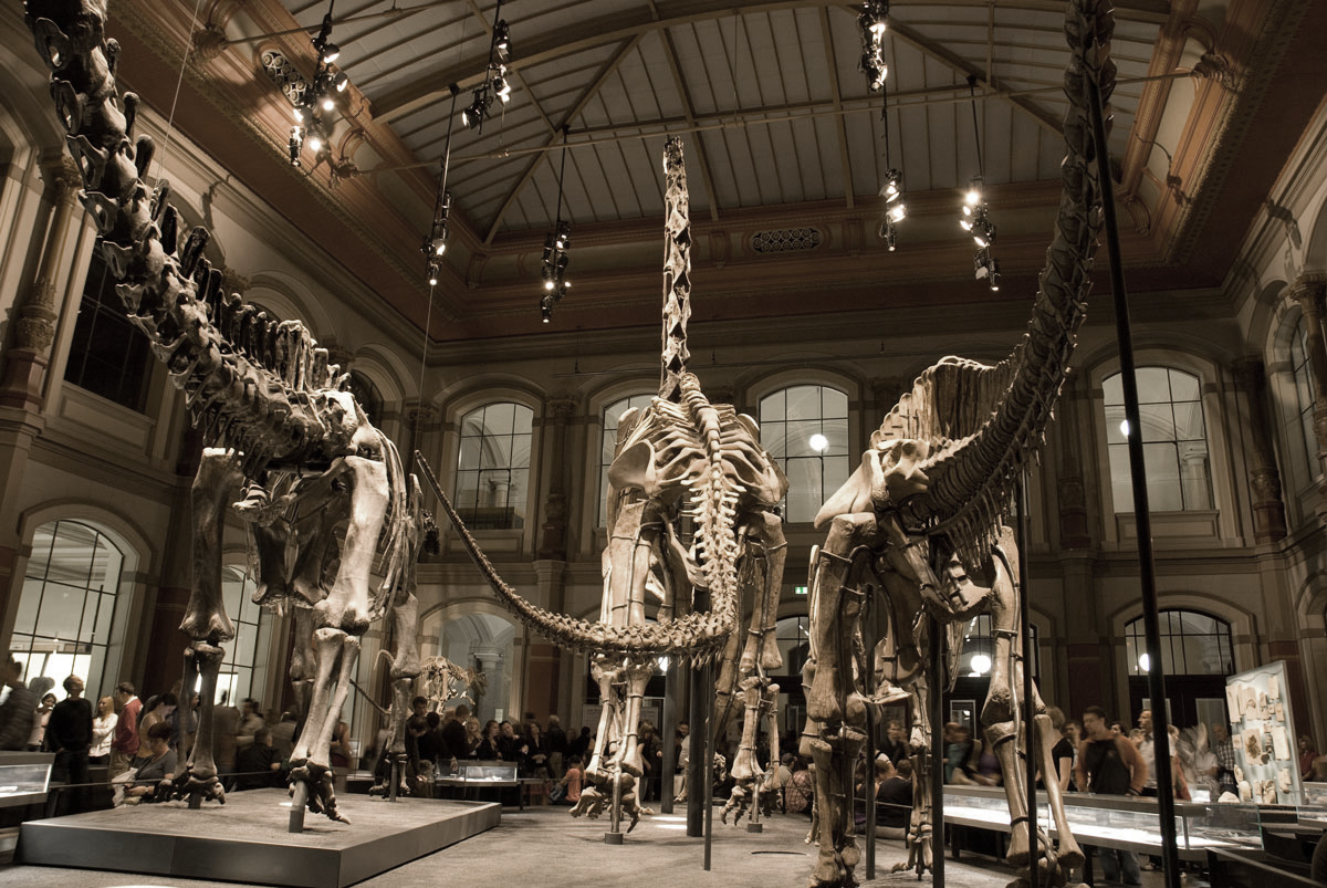 Museum für Naturkunde